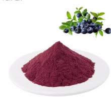 Blueberry Fruit Extract Powder 1%- 25% anthocyanosides Anti Aging Blueberry Extract Powder